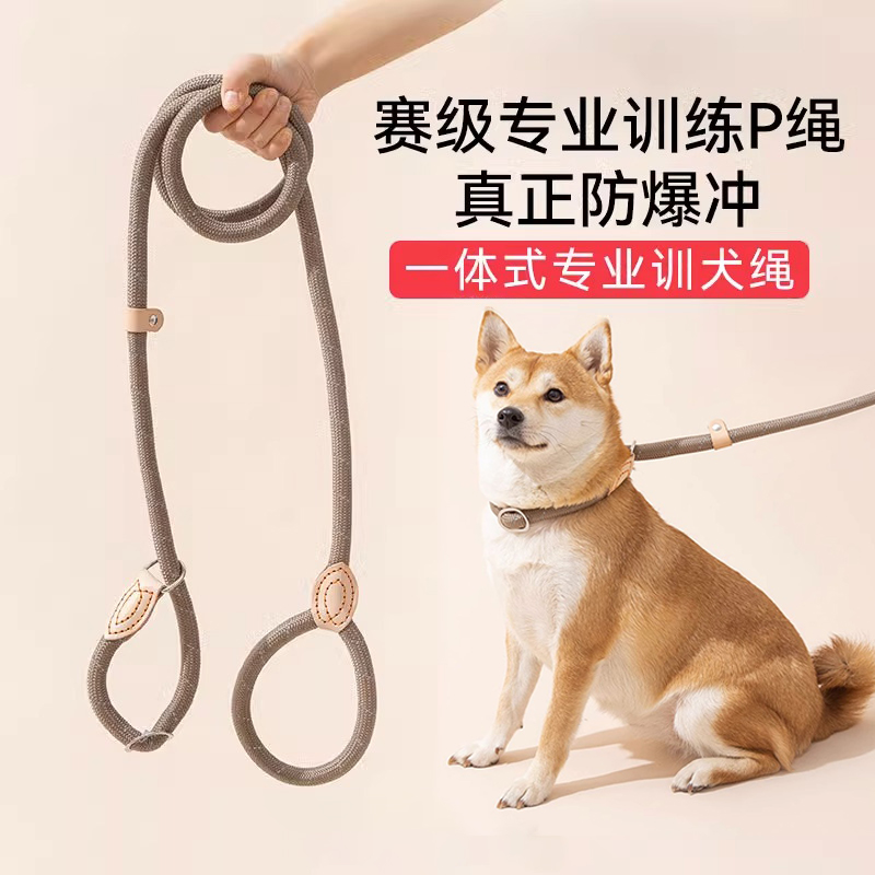 狗狗牵引绳大揭秘：如何选择最适合中小型犬的一体式防爆冲遛狗绳？