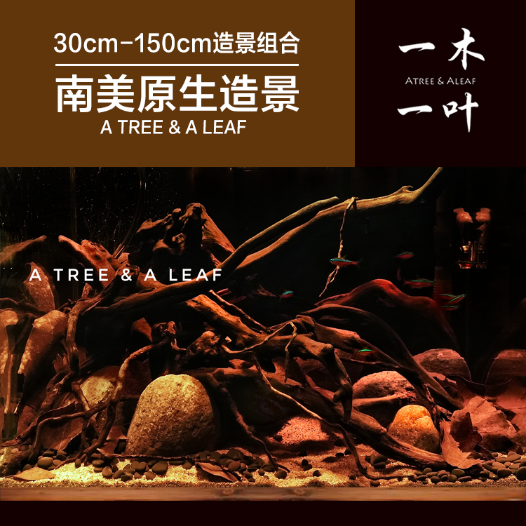 沉木造景木：南美风情，杜鹃根搭配，打造梦幻水族景观✨