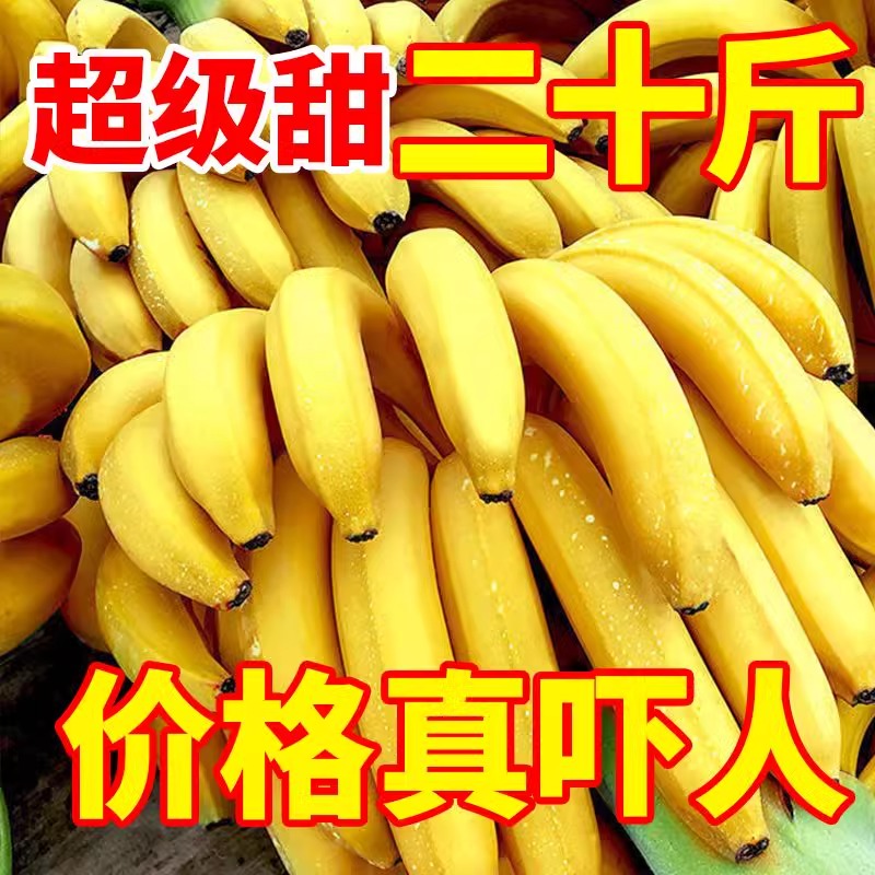 小米蕉大变身！孕期必备的甜蜜守护者!
