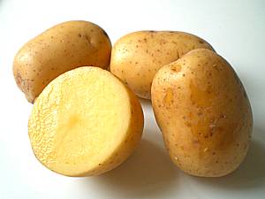 Kartofel1.2