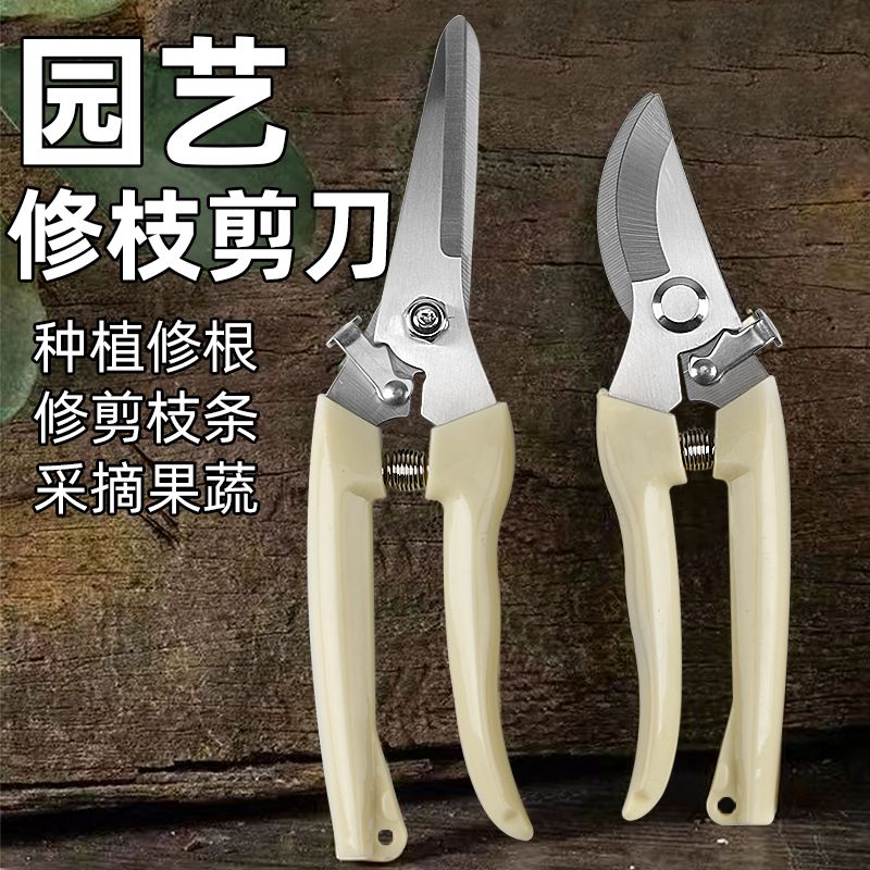 昌国不锈钢剪刀：修剪神器，拯救你的花园烦恼！