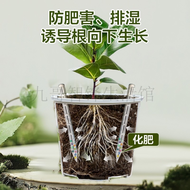 花盆土壤通风管：盆土透气防烂根神器，植物生长的秘密武器
