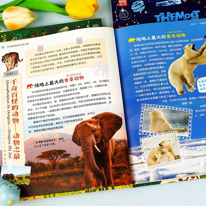 为什么祛斑霜只建议晚上用？背后真相大揭秘！