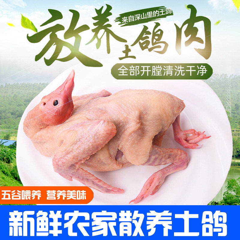如何辨别优质的云南农家新鲜散养老鸽？