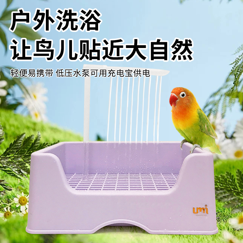 鹦鹉洗澡盆自动循环！八哥玄凤必备神器，小太阳也能变“水光肌”