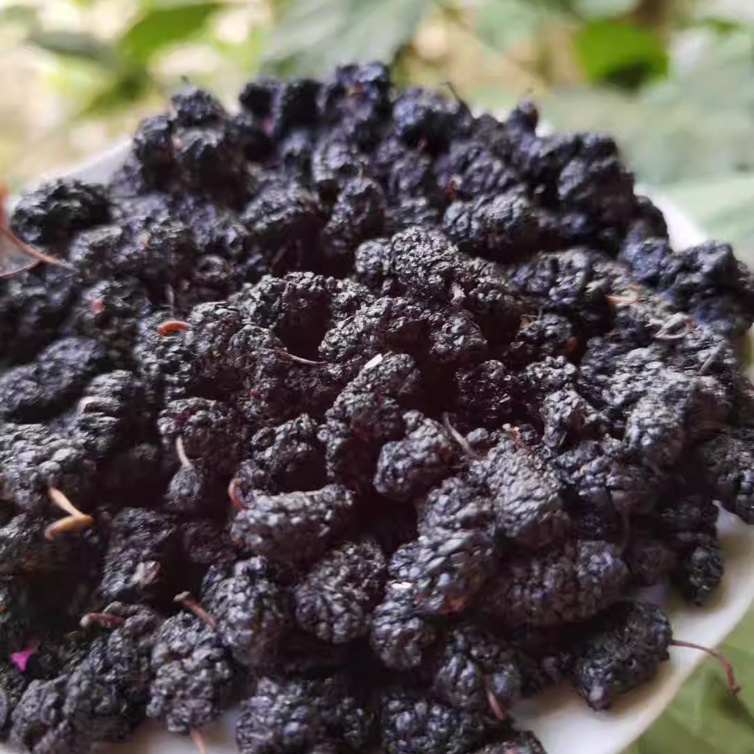 新疆黑桑葚干：大颗粒500g泡茶干果零食，自然风干的甜蜜诱惑！
