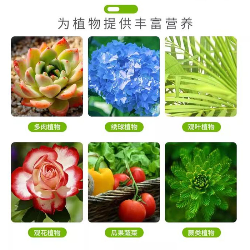 阿芙洛狄忒：穿越千年的女神魅力，揭秘古希腊神话中的爱情与美丽