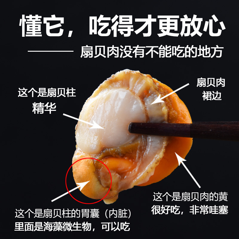 北海新鲜白贝肉，没冰没水纯肉5斤顺丰包邮到家，海鲜控必看！