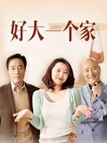 好大一个家