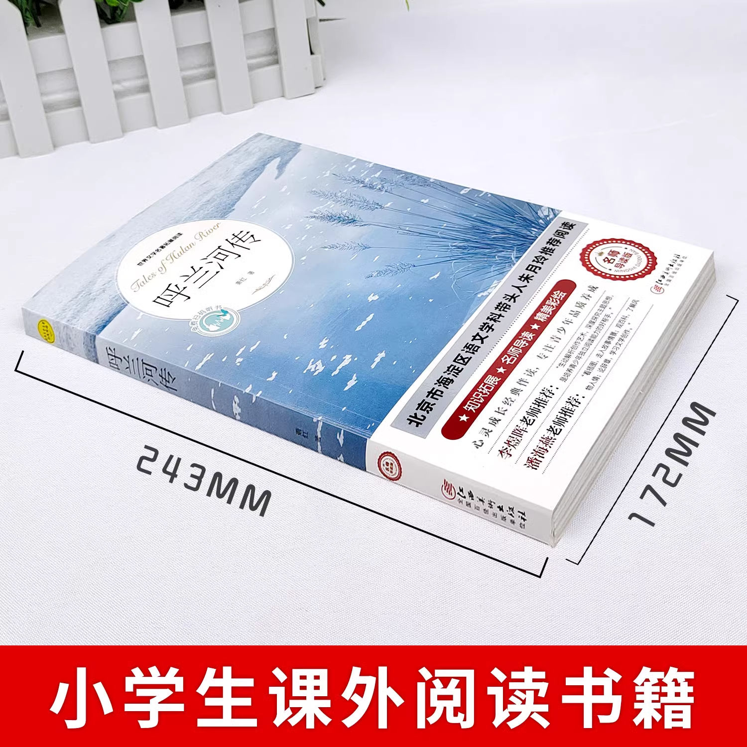 斯利安叶酸片：守护孕期健康的小小英雄