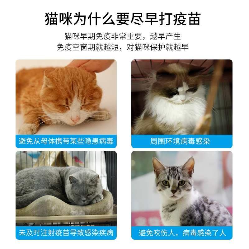 国产科妙优猫咪疫苗套餐：给你的毛孩子最全面的保护！