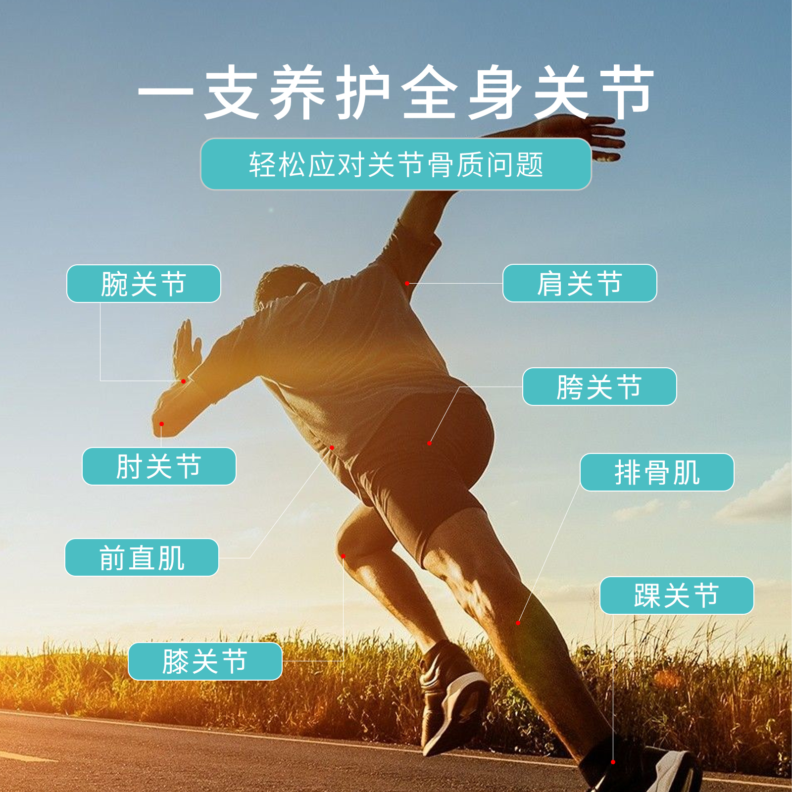 一淘返利怎么用？新手小白也能轻松上手！