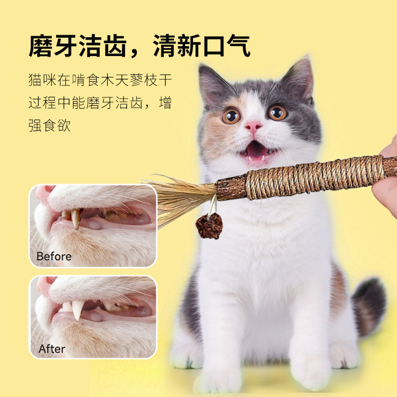 全猫薄荷猫玩具鱼：幼猫自嗨神器，解闷磨牙两不误！