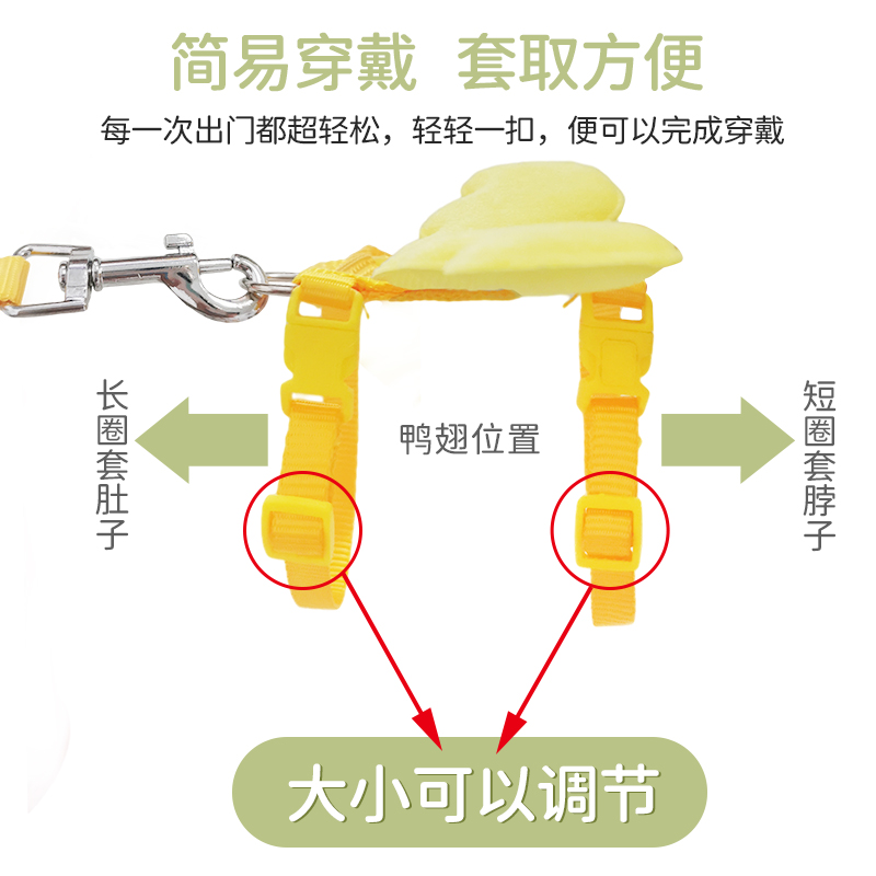 遛鸭神器！柯尔鸭牵引绳，轻松遛鸭，乐趣无穷✨