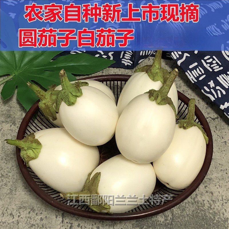 江西鄱阳新鲜白茄子，现摘现发，包邮到家！