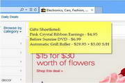 Notezilla Portable8.0.22