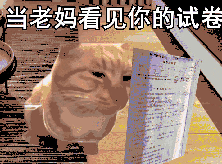 占据互联网大半的猫梗，永远是人们生活的调味剂