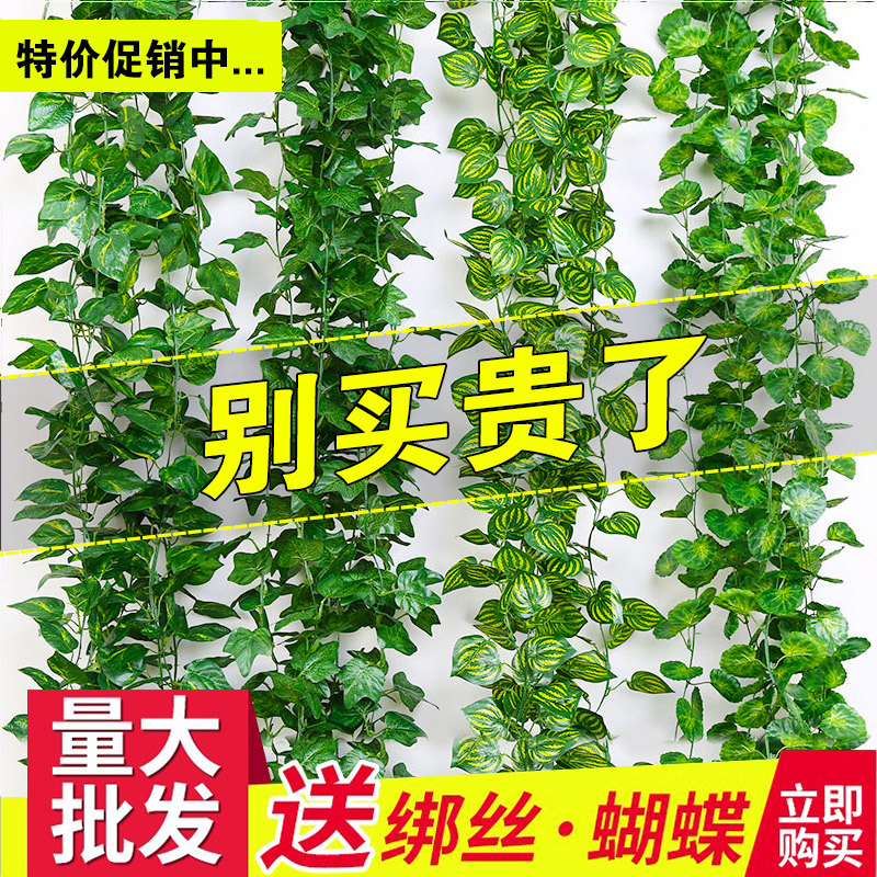 绿萝假植物装饰：打造自然家居氛围的秘密武器！