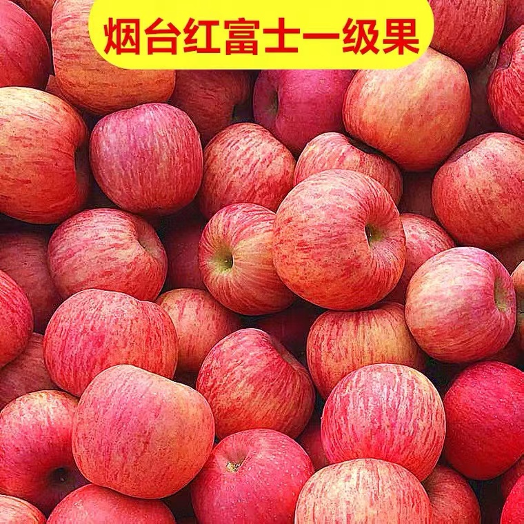 烟台国际博览中心2024年7月展会时间，搞钱必看！绝绝子的展会攻略来啦！