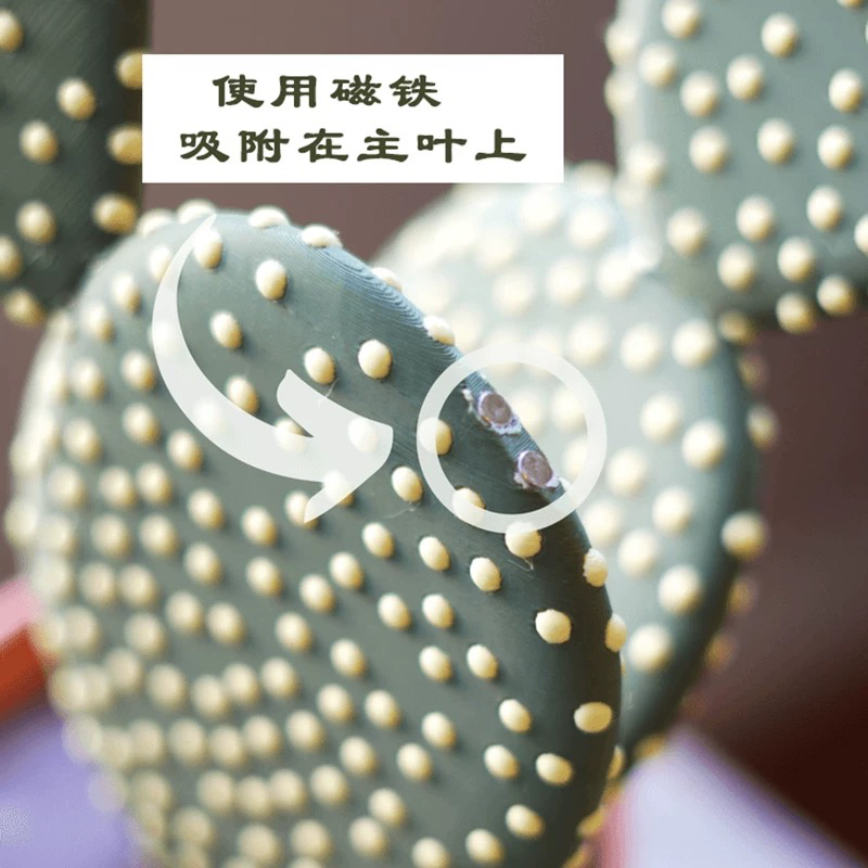 创意仙人掌磁吸杯垫：3D打印的小奶桔同款，客厅装饰新潮流！