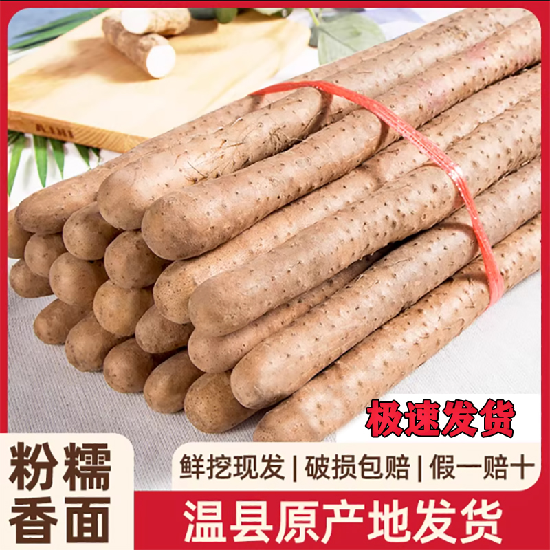 小程山药：正宗温县垆土铁棍山药，怀山药中的王者，你吃对了吗？