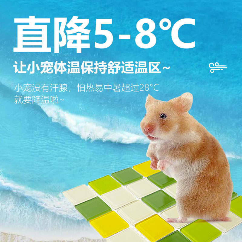 龙猫专用冰垫凉垫子：给你的豚鼠、荷兰猪、兔子一个清凉夏天！