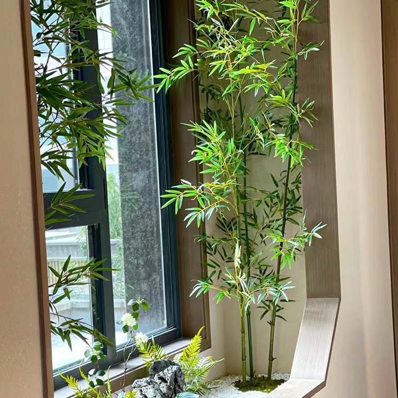 真绿植室内装饰：竹子盆栽，打造自然风情阳台和室内的完美隔断屏风！