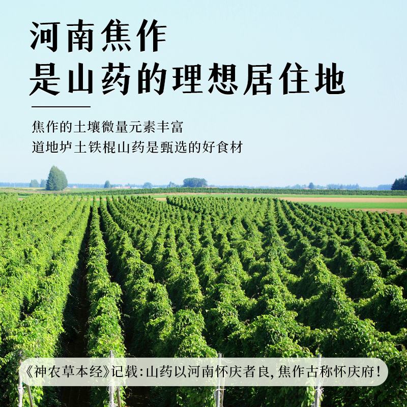 无硫烤熟山药干，健康养生新选择，500克包邮，还能免费磨粉！