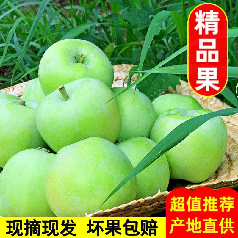 【顺丰包邮】建宁锦绣黄桃：当季现摘，10斤新鲜整箱坏果包赔，甜蜜直达家！
