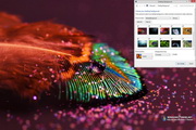 Feather Drops Windows 7 Theme1.00