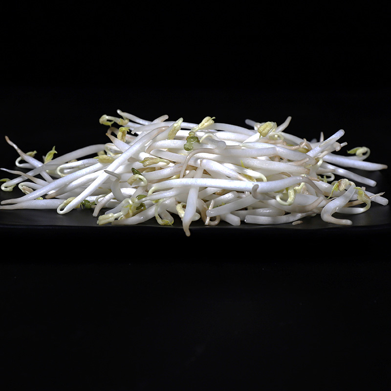 珍珠粒绿豆：轻松在家发绿豆芽，健康美味新选择