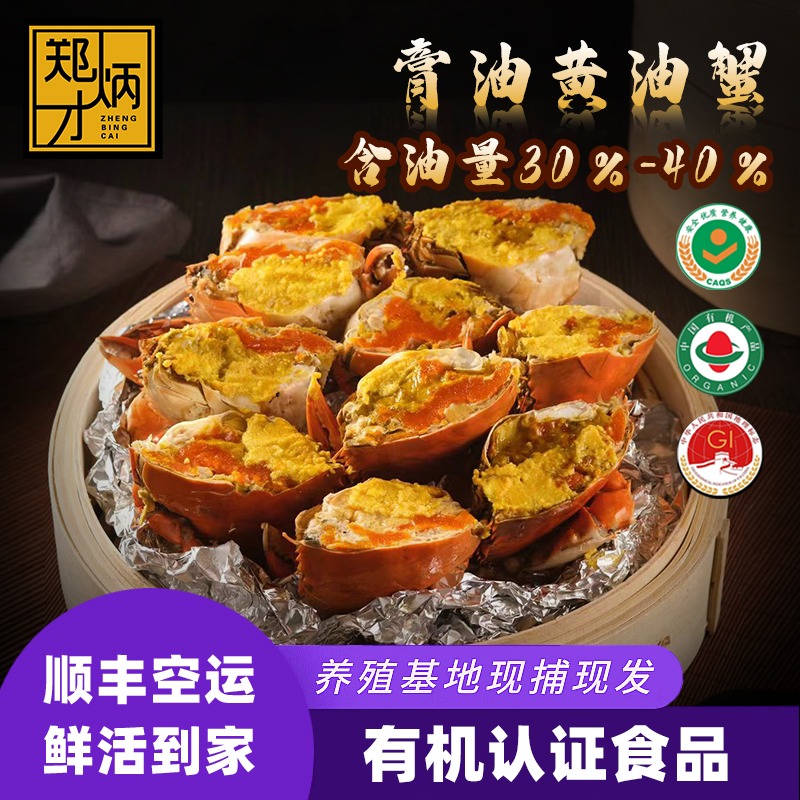 正宗深圳头手黄油蟹，鲜活大青蟹，膏蟹特大超大海鲜单只4-5两包活，尝鲜必备！