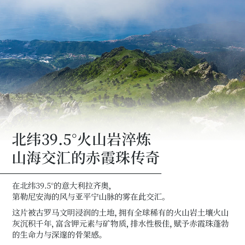 花草物语：传情植物，薇罗妮克·巴罗重庆大学出版社，植物界的浪漫秘籍！