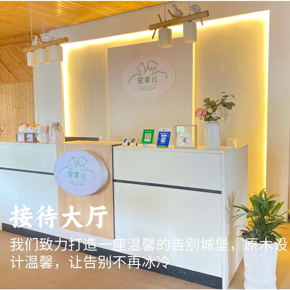 杭州宠物火化殡葬24h服务！免费接宠+骨灰罐，真的太暖心了