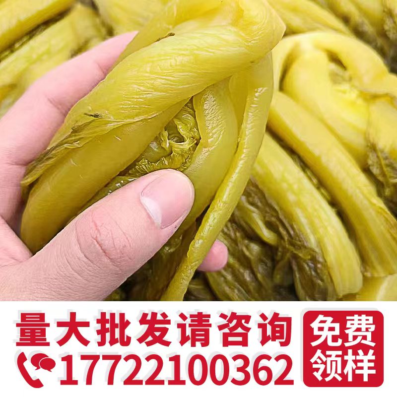 广东老坛酸菜小叶芥菜，41斤酸菜鱼桶装泡菜，脆嫩整颗，开启味蕾盛宴！️