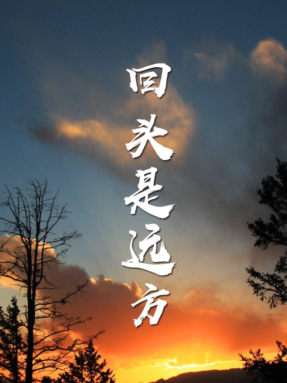 回头是远方