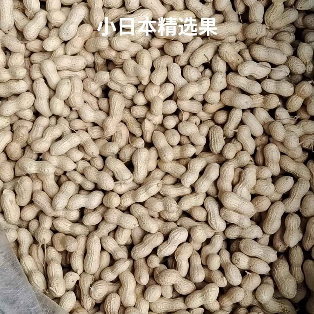 24年新花生5斤净重！小珍珠薄壳鲜到爆，吃货姐妹快冲！