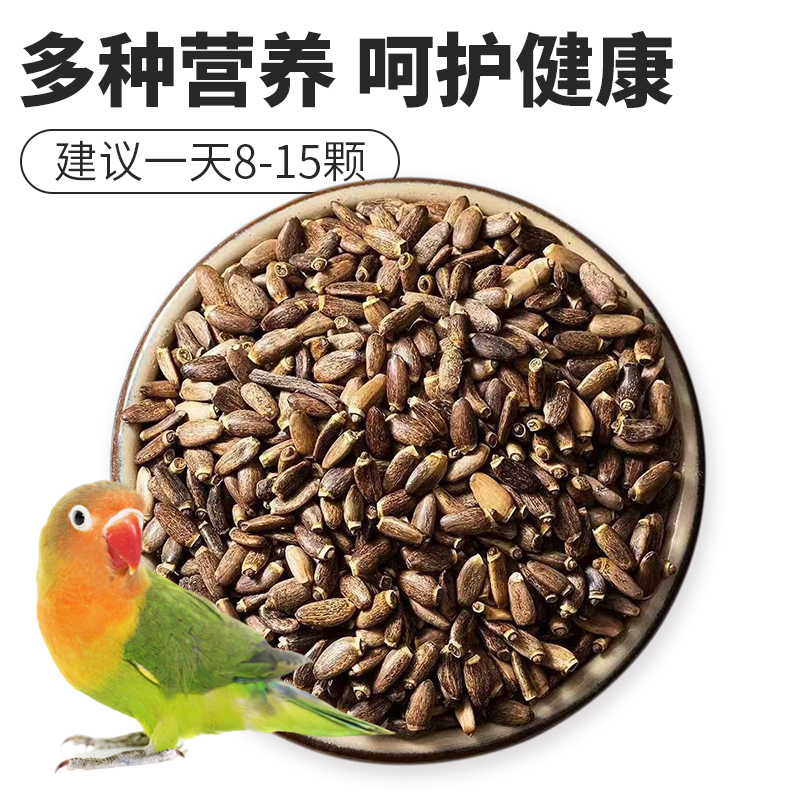 鹦鹉鸟食奶蓟籽：营养健康零食，增强体质的秘密武器！