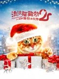 流浪猫鲍勃2鲍勃的礼物