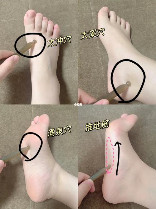 普陀足道按摩是在哪个位置,体验身心的极致放松
