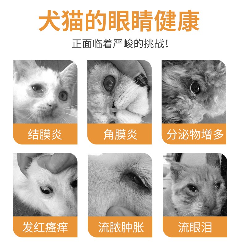 宠物猫狗泪痕大作战：猫眼药水&amp;狗狗硫酸新霉素，谁才是泪痕终结者？
