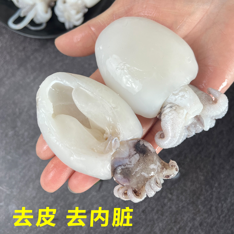 新鲜墨鱼仔冷冻乌贼鱼，解锁海鲜新吃法！