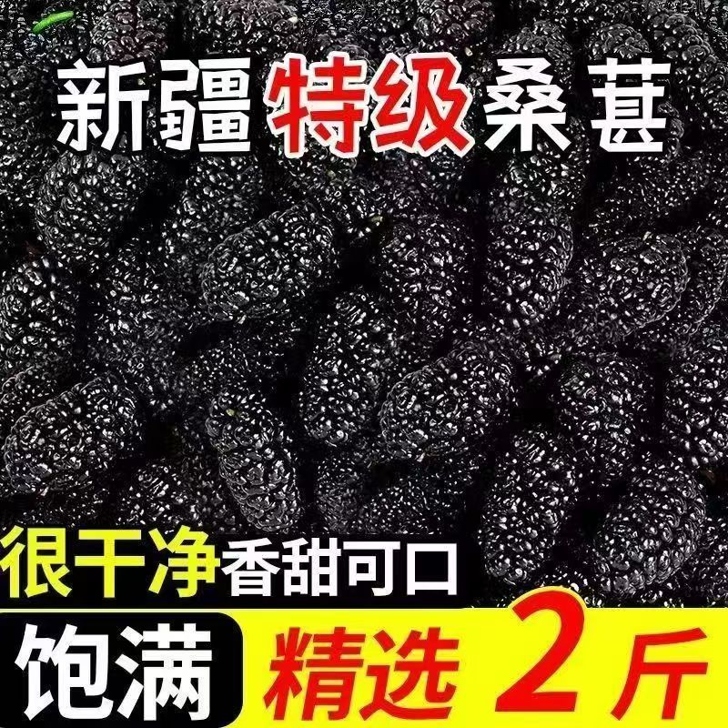 特级桑葚干：新疆正宗大果干，即食泡茶，健康美味新选择！