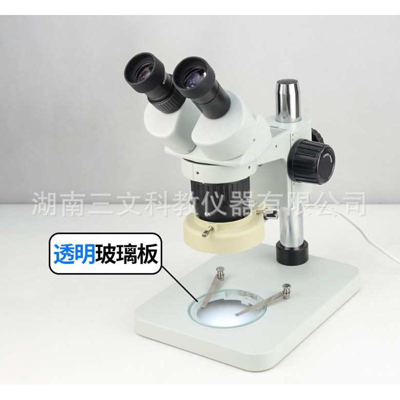 95mm圆形载物板：透明玻璃 vs 磨砂玻璃，哪个才是体视显微镜配件的终极选择？