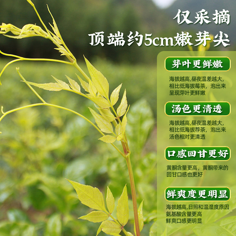 桑植白茶雪超白散叶258g：张家界特产能否成为你心中的茶界新宠？
