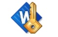Accent WORD Password Recovery20.09 官方版