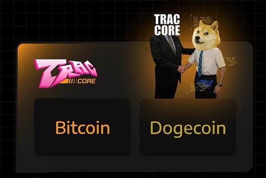 Doge USDT Prediction: A Comprehensive Guide