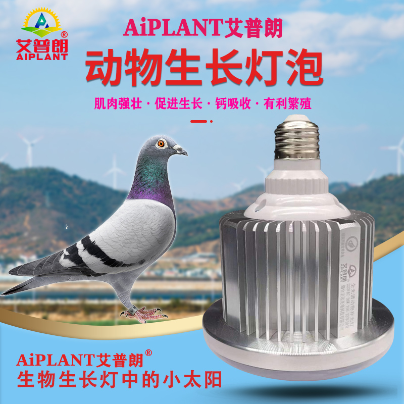 海尔三翼鸟妙集厨房：0元预约到店，个性化定制开启智能新生活！