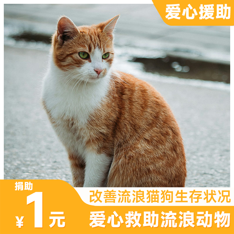 朋音T5S音箱：户外音乐神器，便携直播新宠！