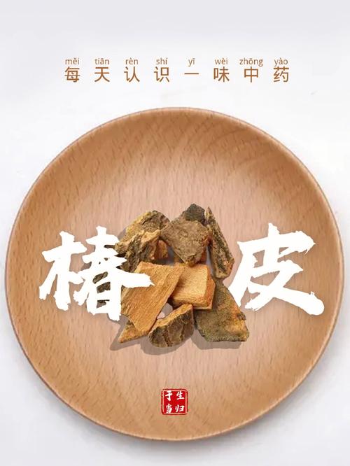 椿皮价格,影响因素与市场行情